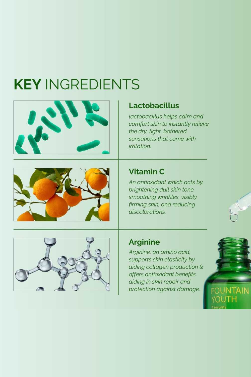Fountain of Youth Serum